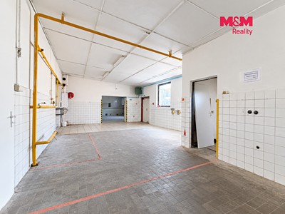 Gewerbefläche zur Miete, 235 m² (3 von 12)