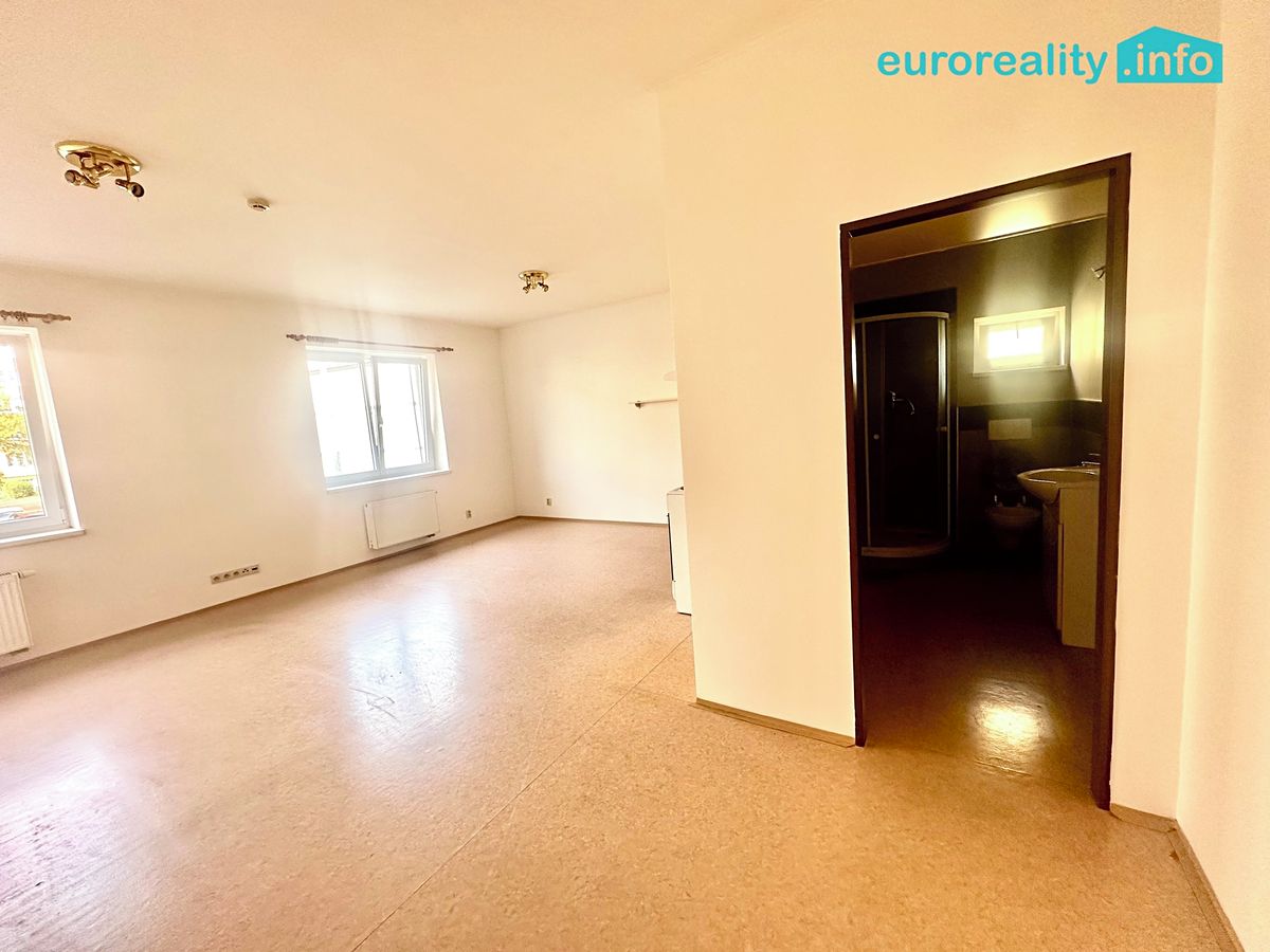 Pronájem bytu 1+kk 40 m² – fotografie 5