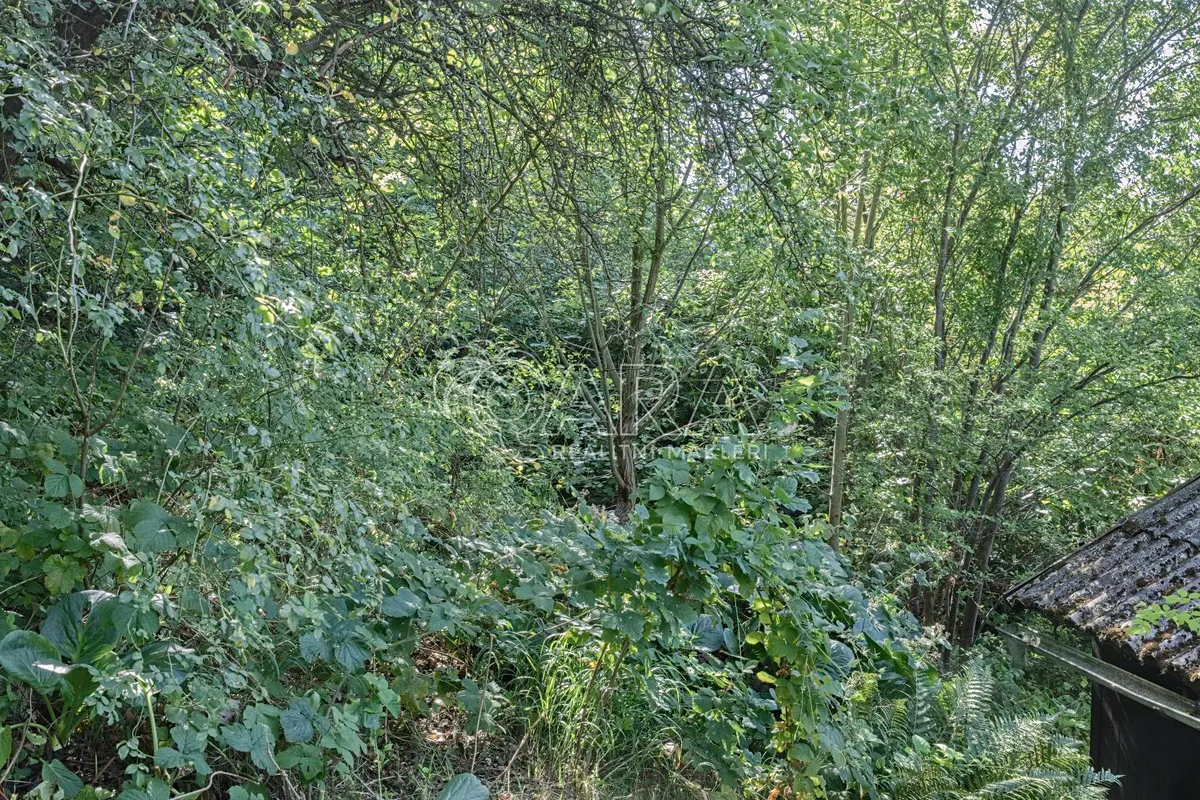 Fotka 15 z 30