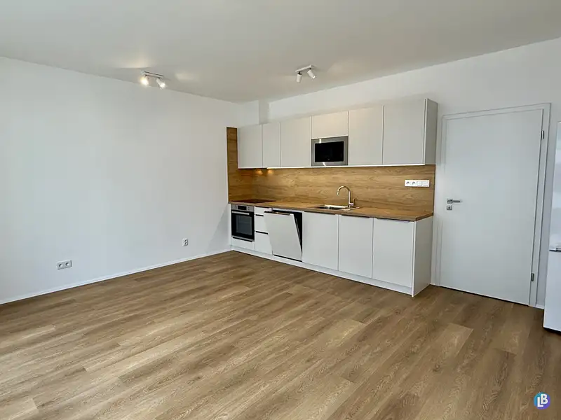 Pronájem bytu 1+kk 35 m², Plzeň – náhled fotky 1