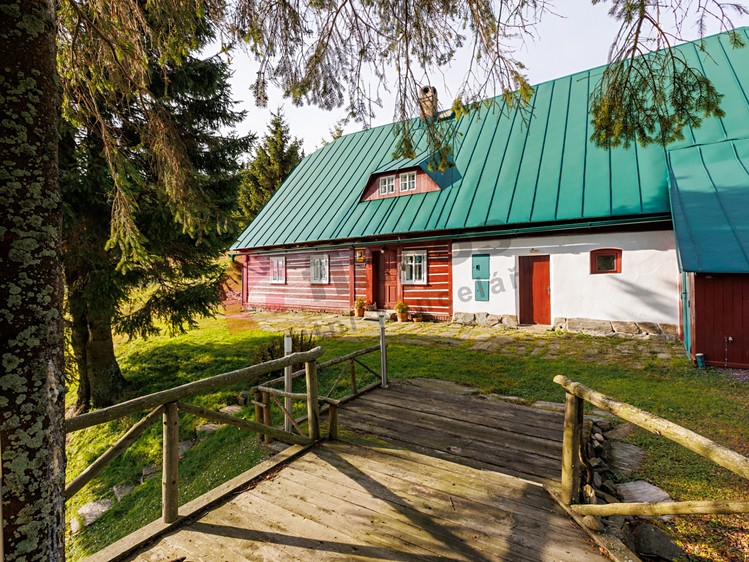 Prodej komerčního prostoru, 233 m² (2 z 24)