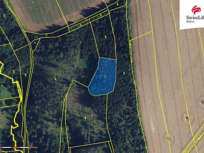 Grundstück zum Kauf, 84.715 m² (3 von 16)
