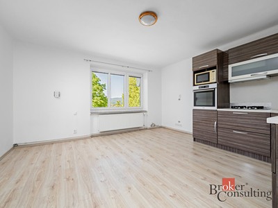 Wohnung 3+kk zur Miete, 54 m² (3 von 18)