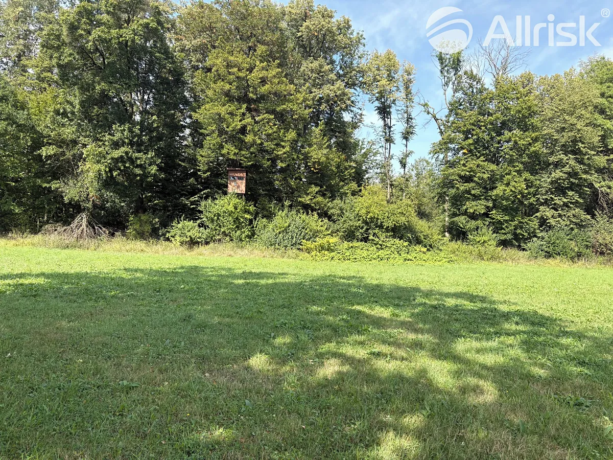 Prodej louky 2145 m²