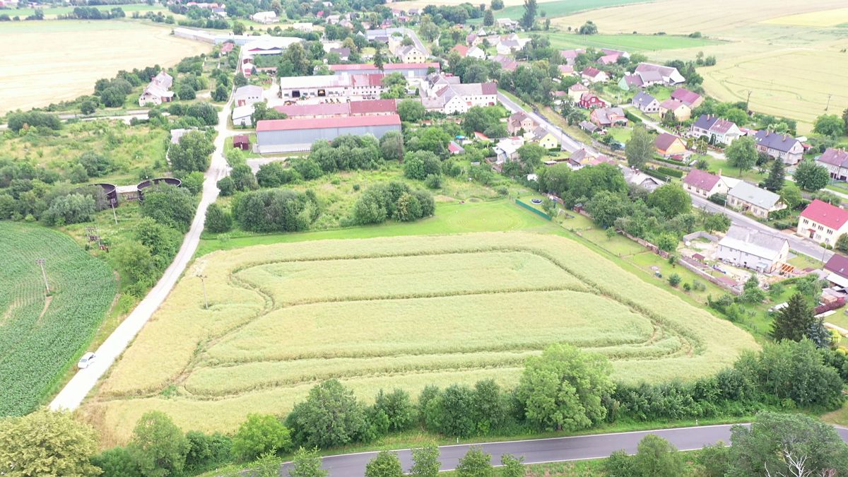 Prodej komerčního pozemku 21716 m², Bernartice – fotka 1 z 3