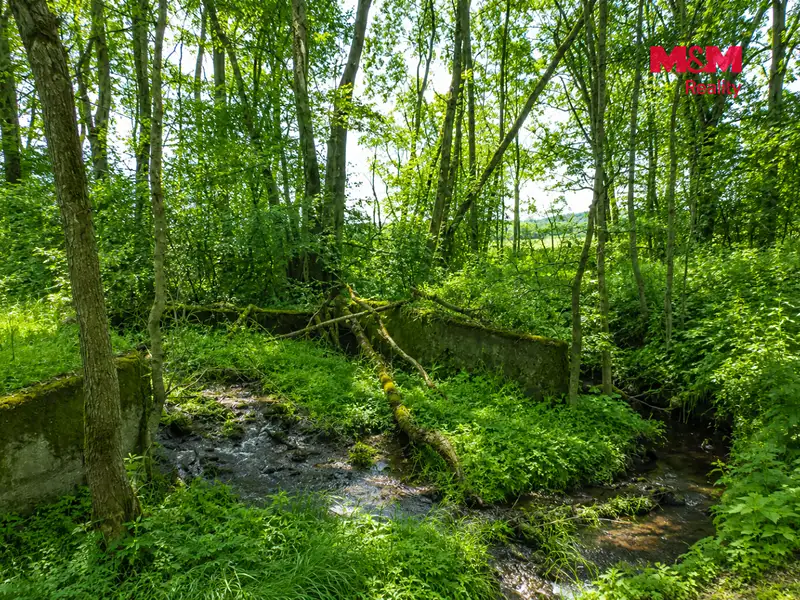 Prodej louky 4863 m², Petrovice – náhled fotky 2