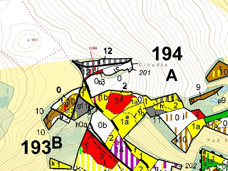 Dražba lesa 536 m², Volfířov – náhled fotky 3