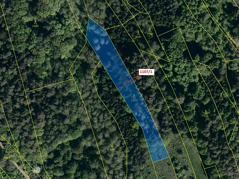 Dražba lesa 2302 m², Ludkovice – náhled fotky 2