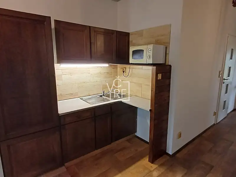 Pronájem bytu 1+kk 30 m², Praskačka – náhled fotky 2