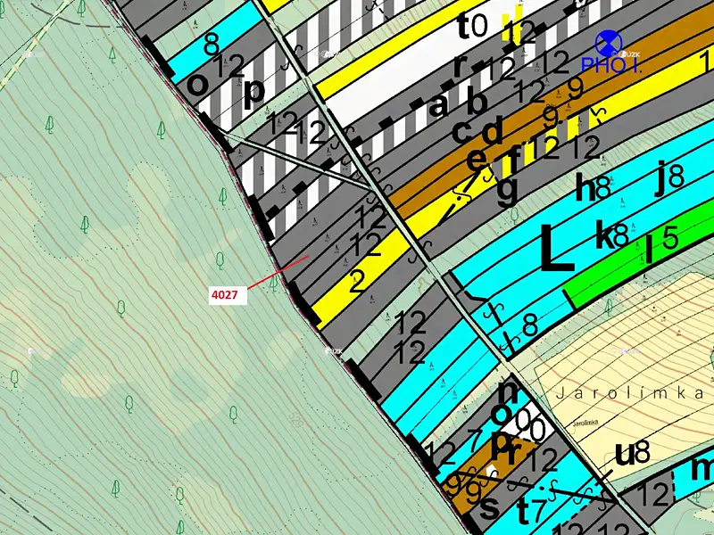 Dražba lesa 1282 m², Pitín – náhled fotky 3