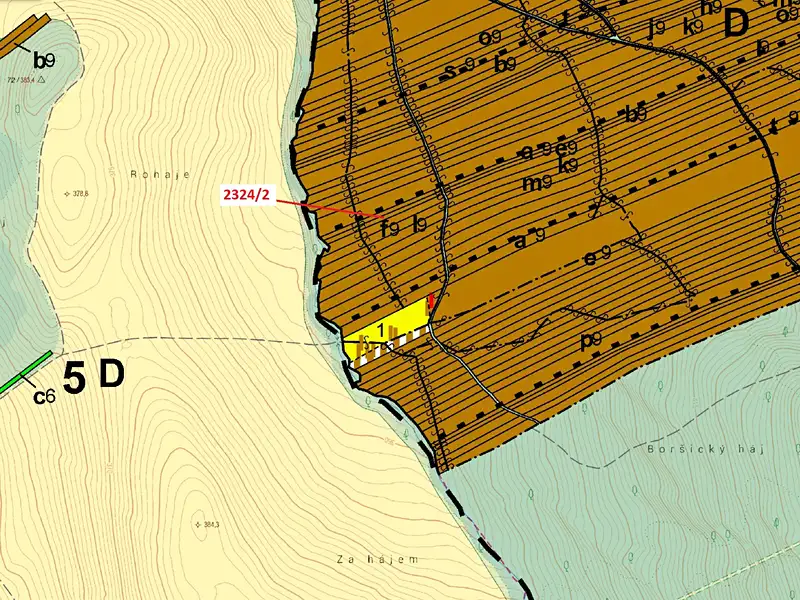 Dražba lesa 1060 m², Slavkov – náhled fotky 3