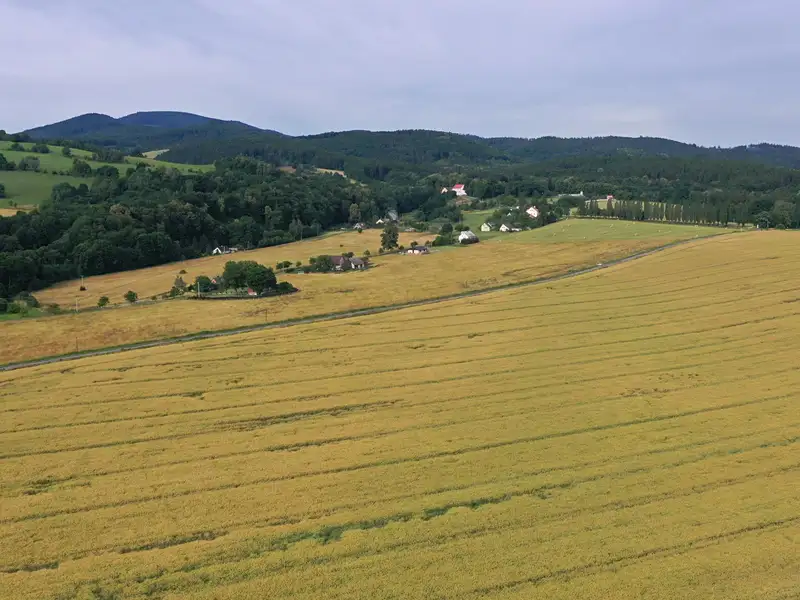 Prodej pole 62420 m², Bílá Voda – náhled fotky 2