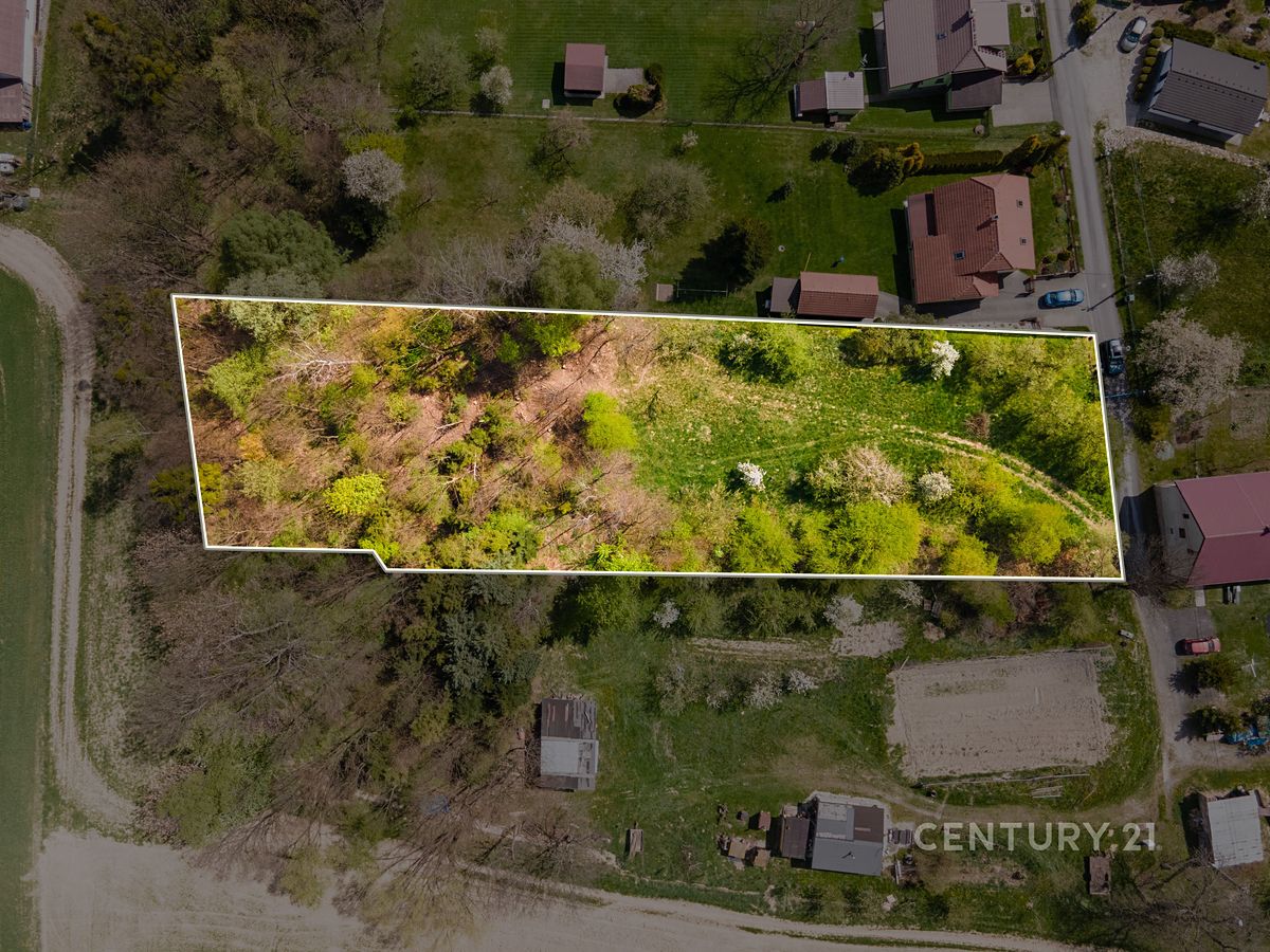 Prodej stavebního pozemku 2673 m² – fotografie 4