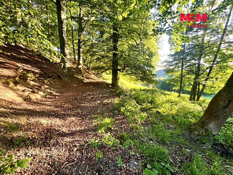 Grundstück zum Kauf, 5.449 m² (10 von 20)