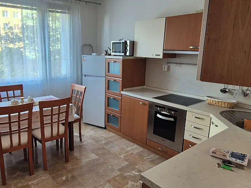 Pronájem bytu 1+1 35 m², Plzeň – náhled fotky 3