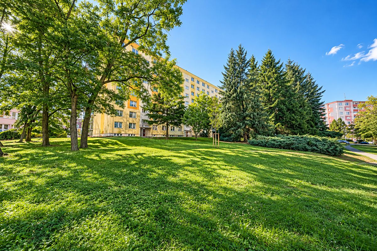 Prodej bytu 3+1 75 m²