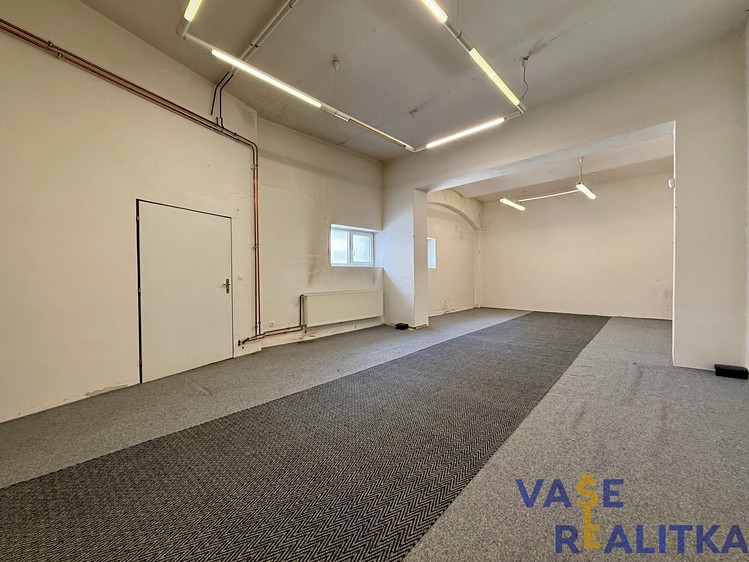 Pronájem komerčního prostoru, 370 m² (19 z 24)