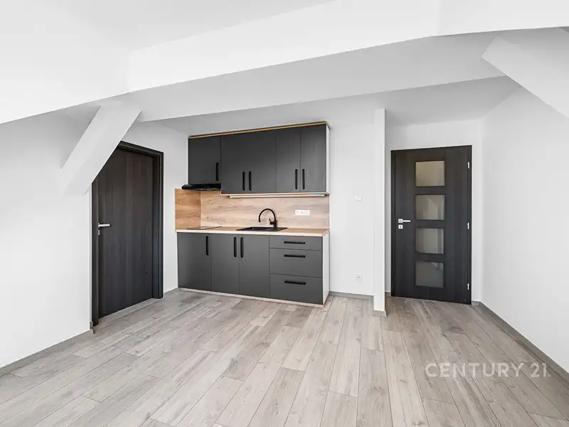 Prodej bytu 2+kk, 36 m², Plzeň-město, Plzeň