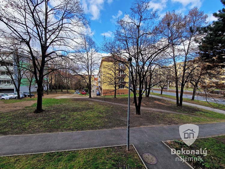 Квартира 1+kk в оренду, 22 м² (10 з 12)