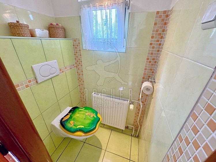 Prodej domu, 165 m² (15 z 22)