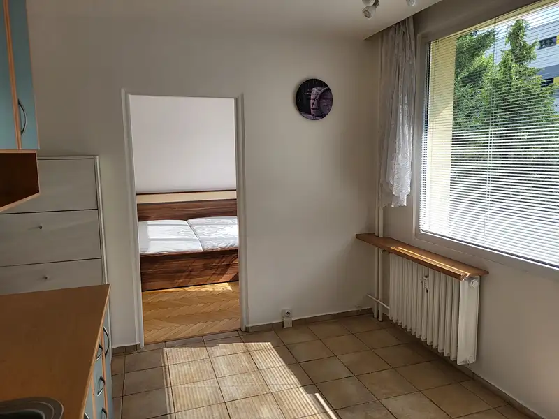 Pronájem bytu 2+1 44 m², Jindřichův Hradec – náhled fotky 3