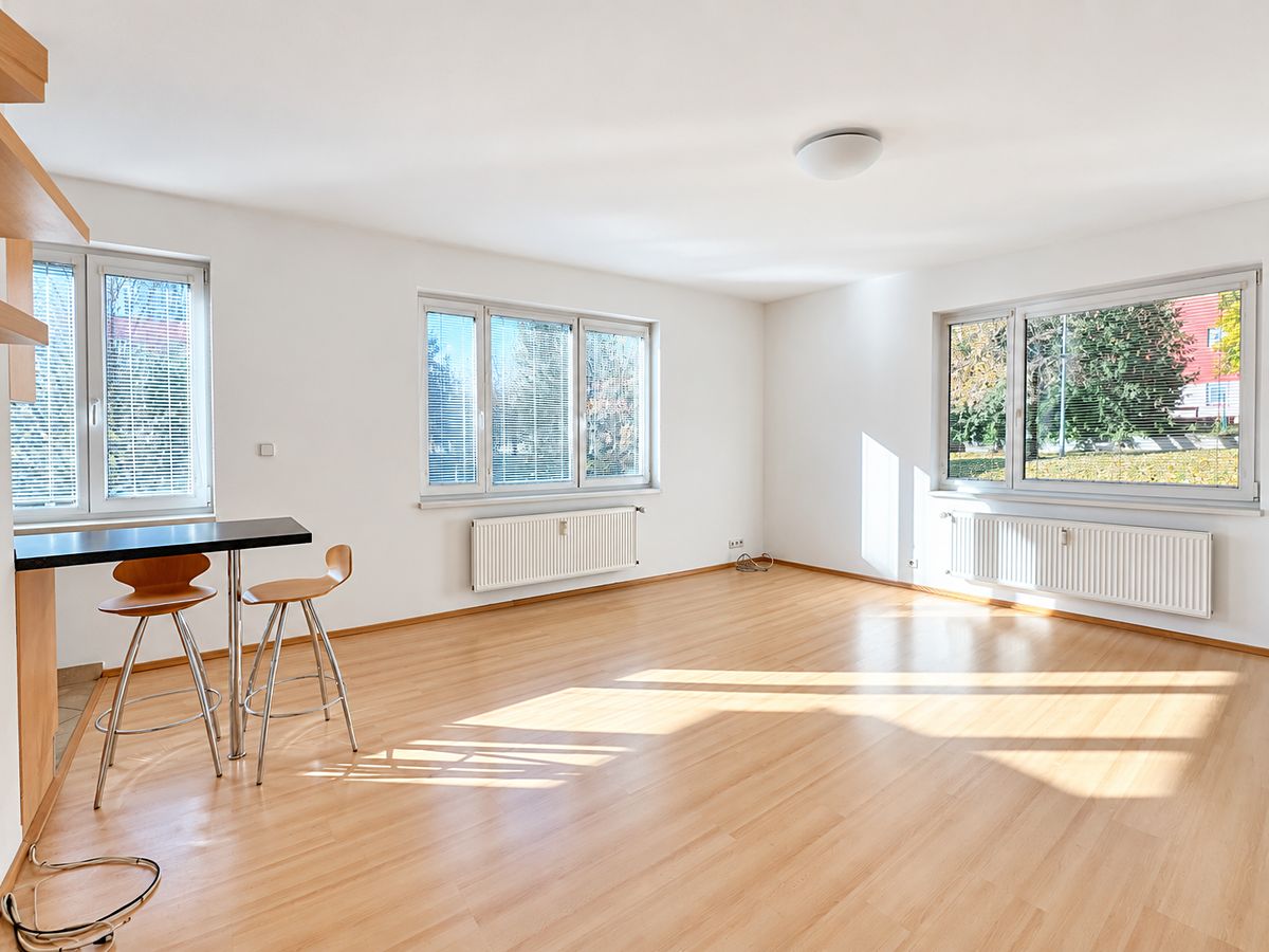 Pronájem bytu 1+kk 47 m², Praha – fotka 1 z 3