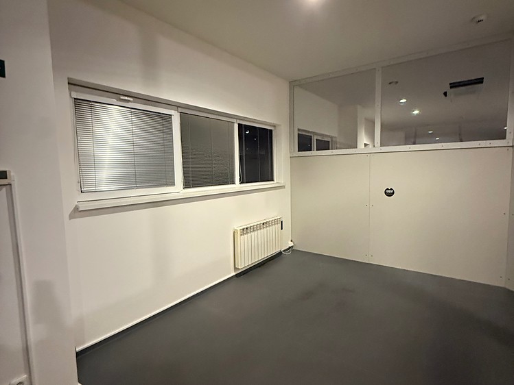 Pronájem komerčního prostoru, 250 m² (4 z 5)