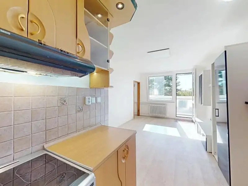 Pronájem bytu 2+kk 46 m², Praha – náhled fotky 2
