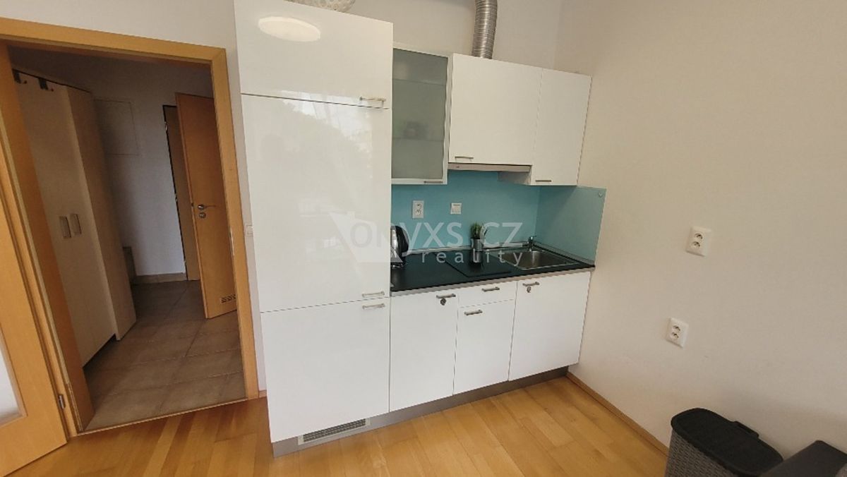 Pronájem bytu 1+kk 30 m² – fotografie 4
