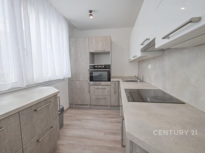 Pronájem bytu 3+1 74 m²