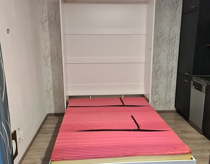 Wohnung 1+kk zur Miete, 29 m² (4 von 17)
