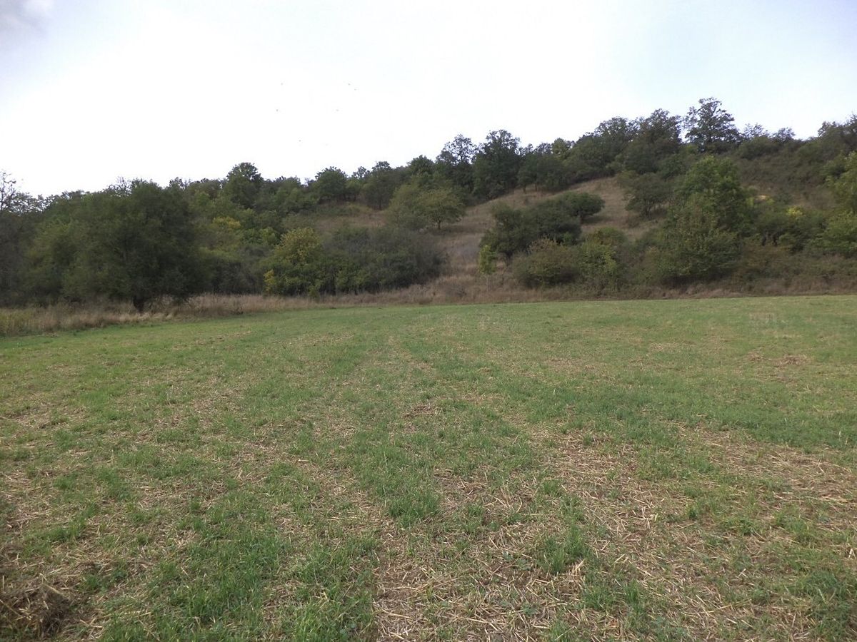Dražba louky 22441 m², Řehlovice – fotka 1 z 3