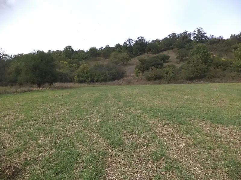 Dražba louky 22441 m², Řehlovice – náhled fotky 1