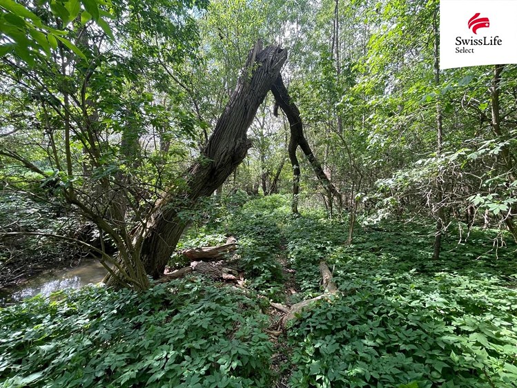 Ostatní