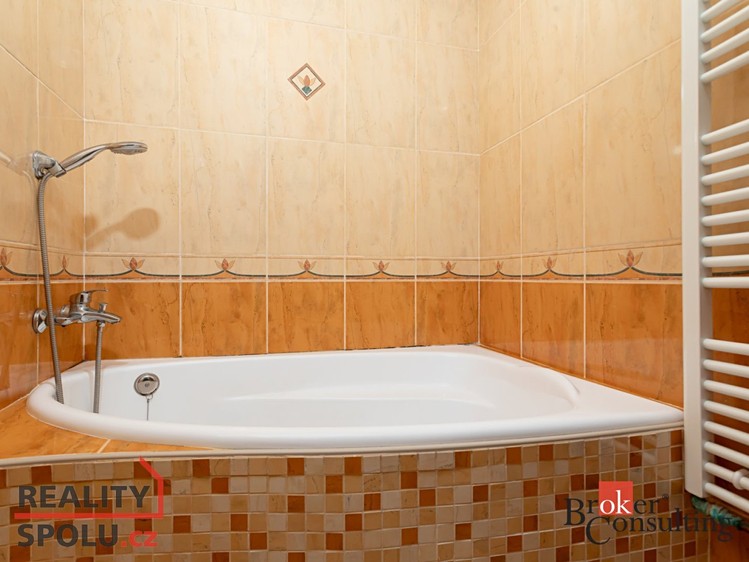 Pronájem bytu 2+1, 54 m² (11 z 17)