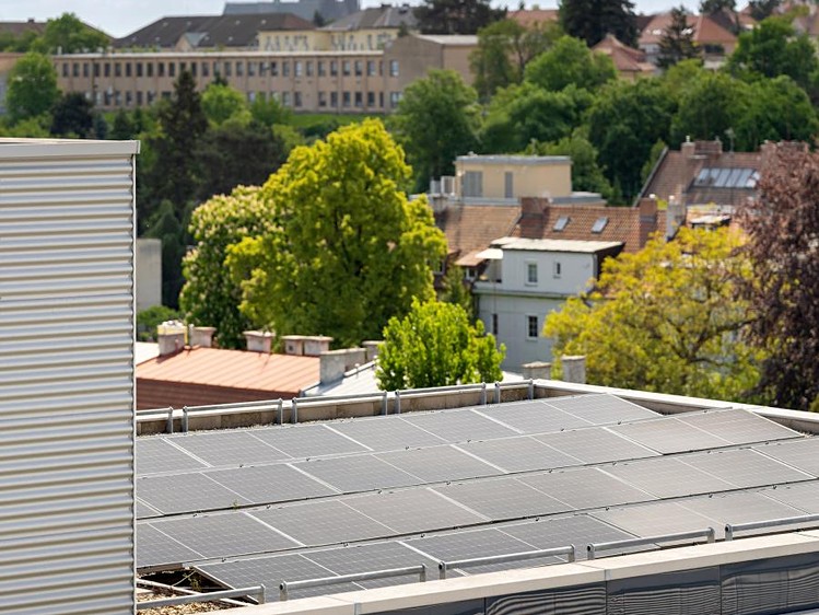 Gewerbefläche zur Miete, 228 m² (13 von 14)