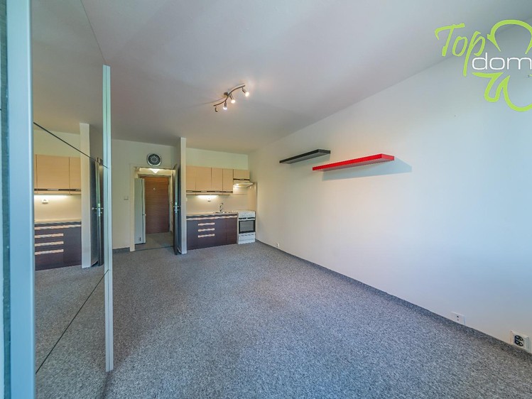 Pronájem bytu 1+kk, 30 m² (2 z 9)