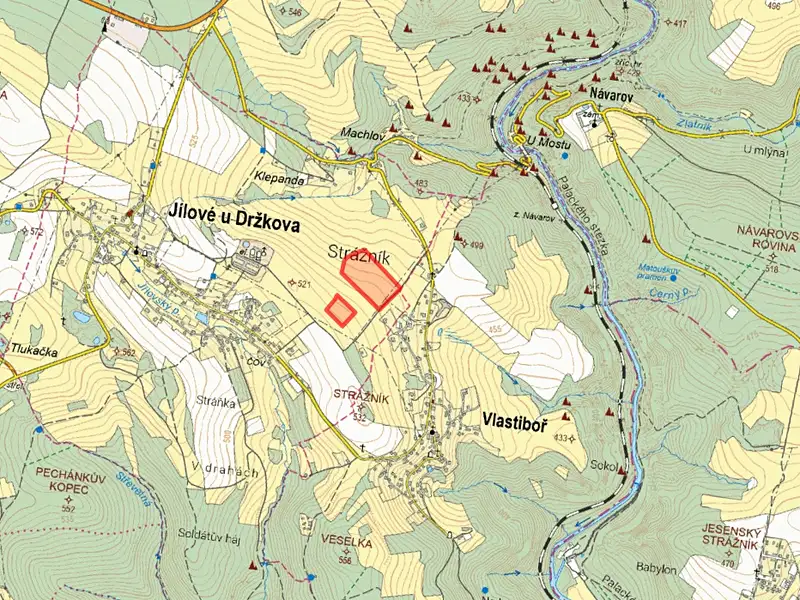 Prodej louky 12382 m², Jílové u Držkova – náhled fotky 2