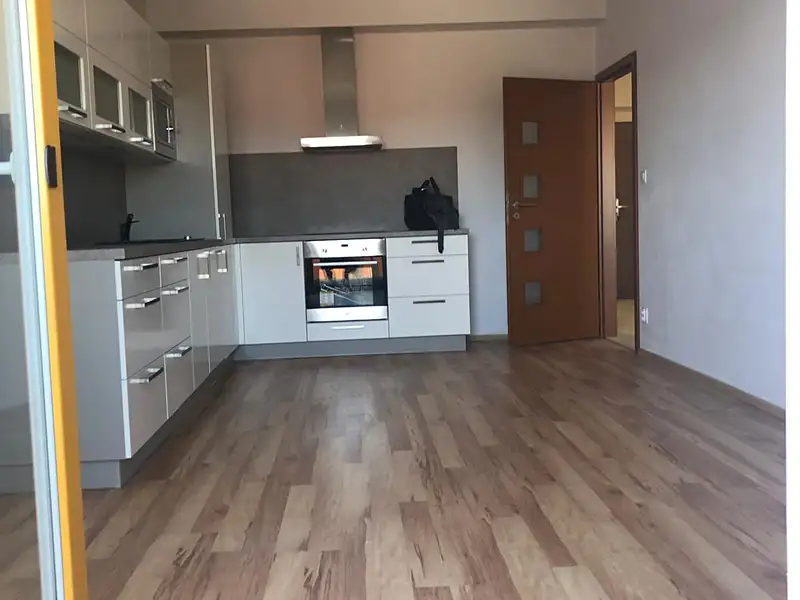 Prodej bytu 2+kk 56 m², Plzeň – náhled fotky 2
