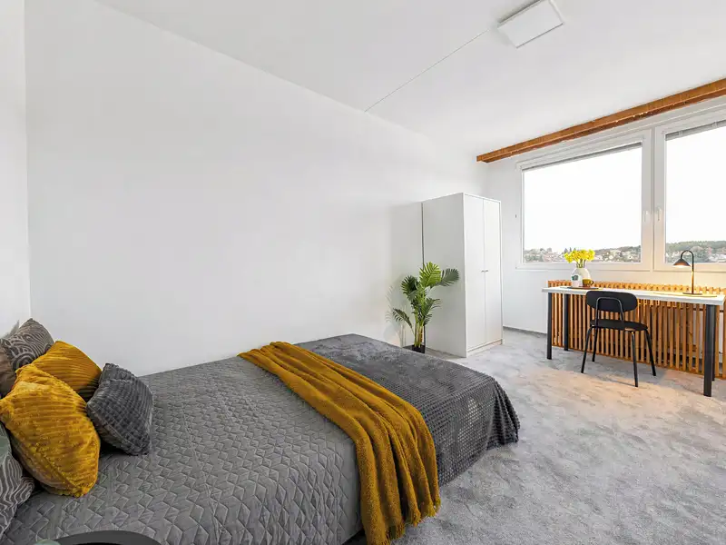 Pronájem bytu pokoje 14 m², Praha – náhled fotky 3