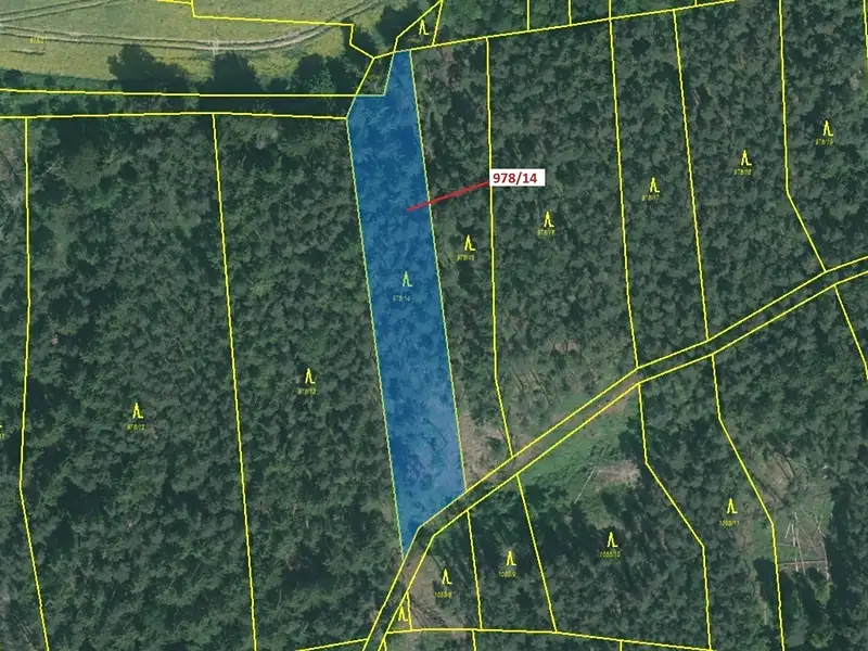 Dražba lesa 2762 m², Milavče – náhled fotky 2