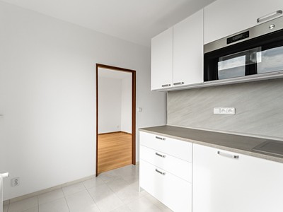 Prodej bytu 3+1, 65 m² (3 z 30)