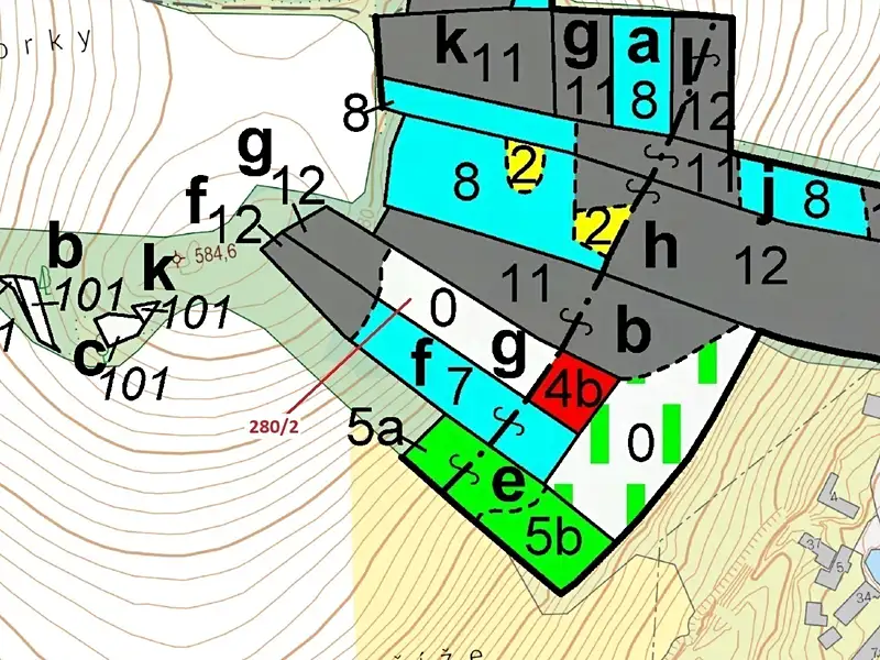 Dražba lesa 4872 m², Kovčín – náhled fotky 3