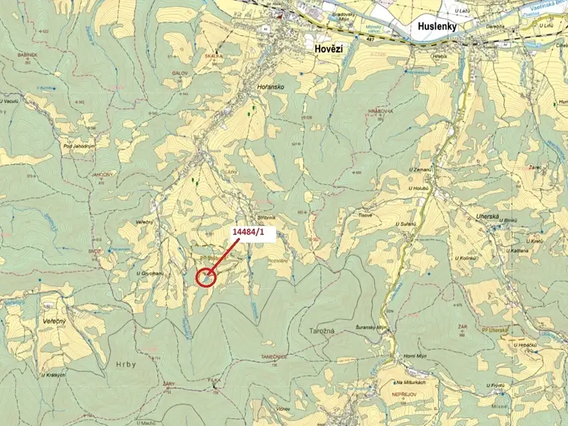 Dražba lesa 2322 m², Hovězí – náhled fotky 1