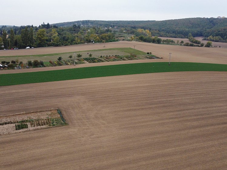 Ostatní