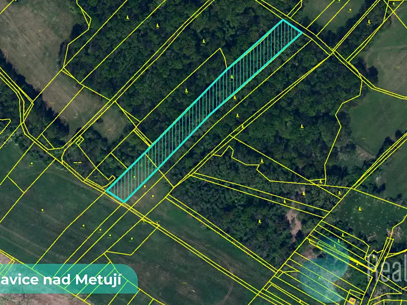 Prodej pole 43749 m², Bohuslavice – náhled fotky 1