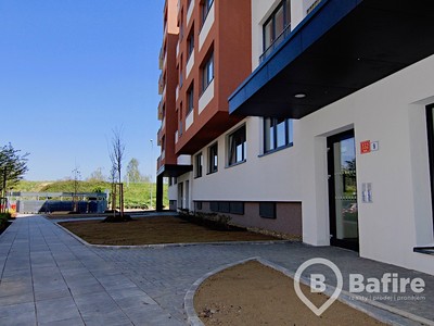 Нерухомість в оренду, 13 м² (3 з 3)