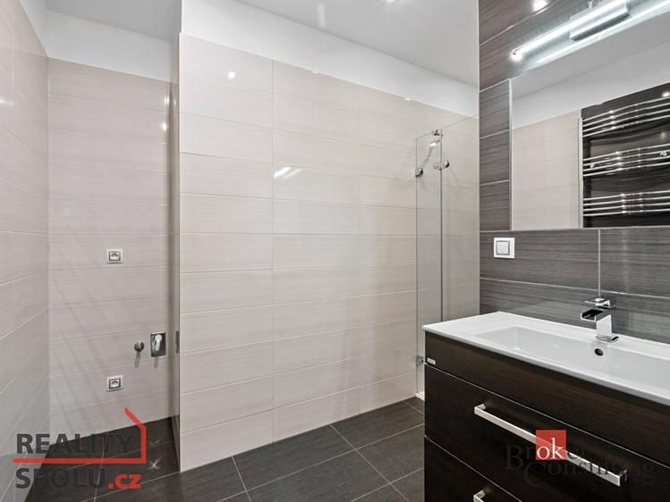 Wohnung 3+kk zur Miete, 74 m² (4 von 20)