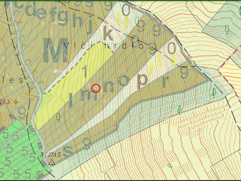Prodej lesa 2800 m², Kobylí – náhled fotky 3