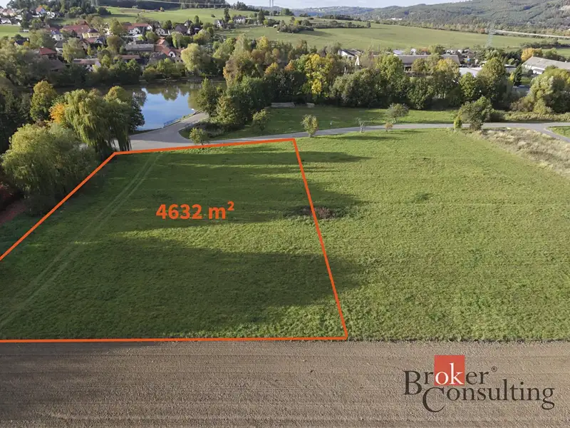 Prodej louky 4632 m², Lešany – náhled fotky 1